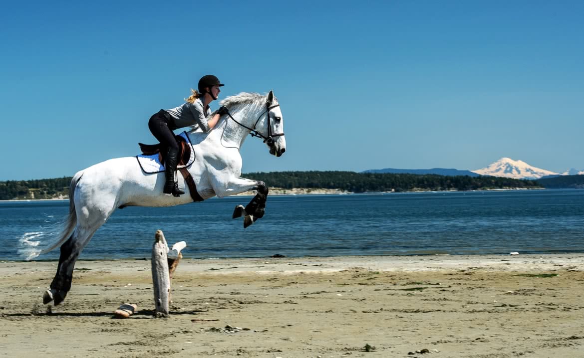 Banner-Beach-jumping.jpg