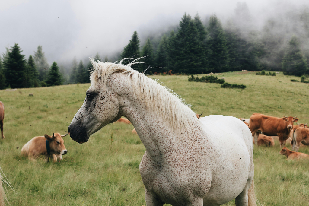 June: Not Your Average Gut Feeling