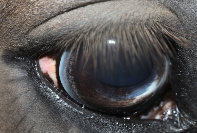 November: An Eye For Trouble